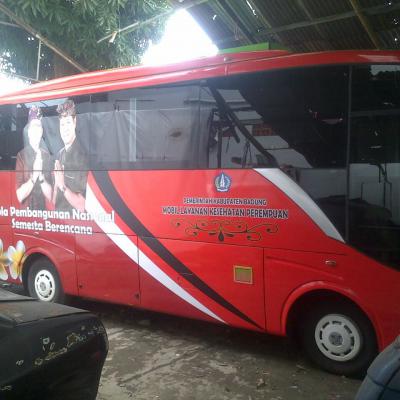 Dafodil Sticker Bali 7
